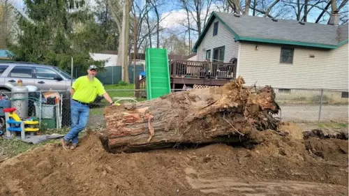 Do you have trees near your septic system? When roots enter drain pipes it can cause backups in your home! They can even penetrate your septic tank. Call Jay's at (810) 664-8080 and get your septic system inspected today
